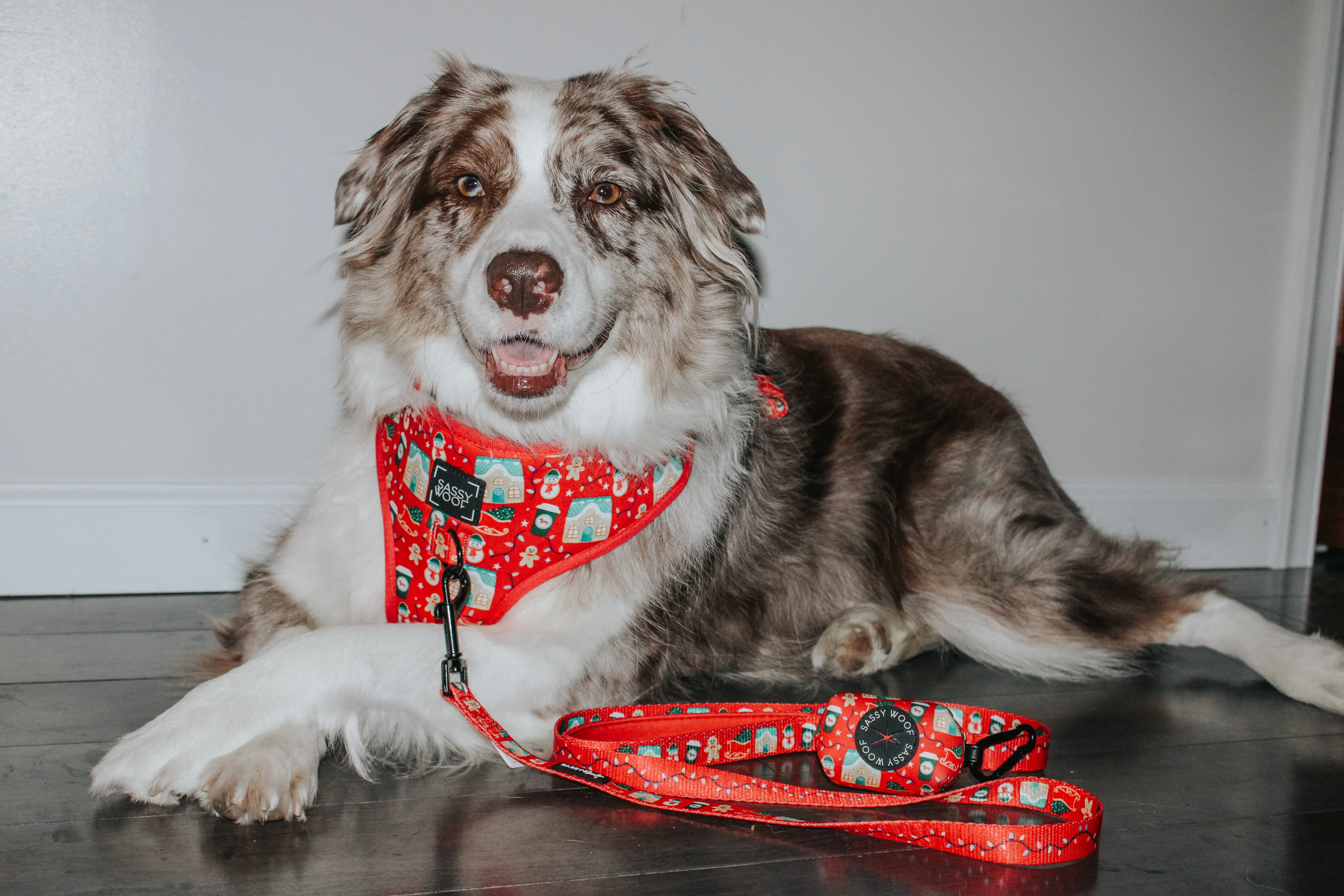 Dog Adjustable Harness - Sleigh Baby Sleigh