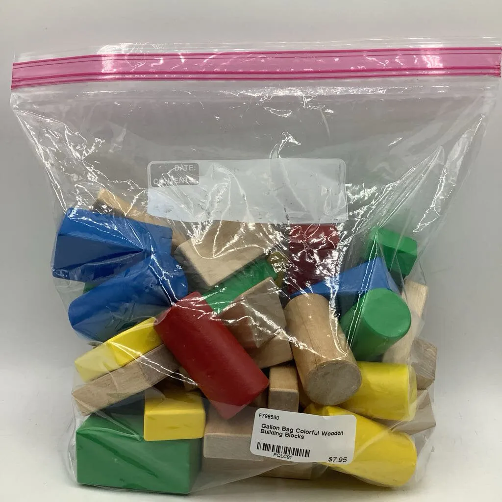 Gallon Bag Colorful Wooden Building Blocks