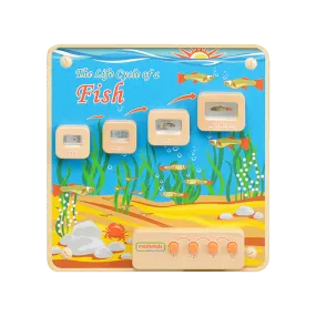 Wall Elements - Light-Up Fish Life Cycle Stages Panel